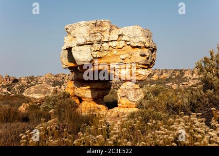 Karoo come natura selvaggia e formazioni rocciose in e intorno Kagga Kamma Riserva Naturale, Cederberg Area, Sud Africa Foto Stock