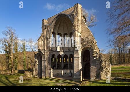 Coro rovina Monastero di Heisterbach, Abbazia cistercense nel Siebengebirge, Koenigswinter, Germania Foto Stock