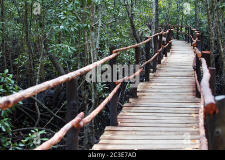 Ponte di legno nella foresta di mangrovie a Zanzibar. Tanzania Foto Stock