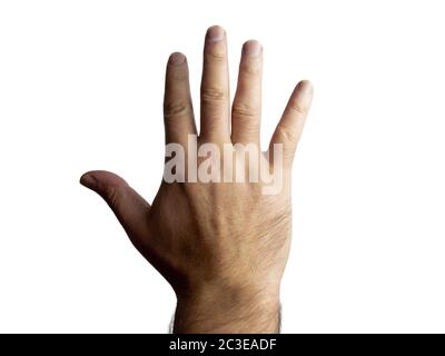 Maschio brutale mano pelosa che mostra cinque su uno sfondo isolato Foto Stock