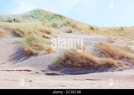 Dune di sabbia vicino al mare in Olanda Foto Stock