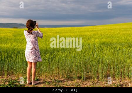 Campo di grano verde in campagna, primo piano. Campo di grano che soffia nel vento a sole primavera giorno. Spikelets giovani e verdi. Orecchie di orzo raccolto in Foto Stock