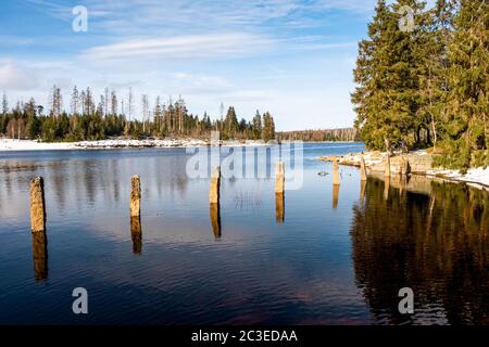 Parco nazionale Harz Vista sul Oderteich nelle montagne Harz Foto Stock