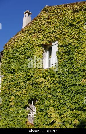 Passeggiata nel luberon, saint michel de l'Observatoire e Banon nel Vaucluse, Francia Foto Stock