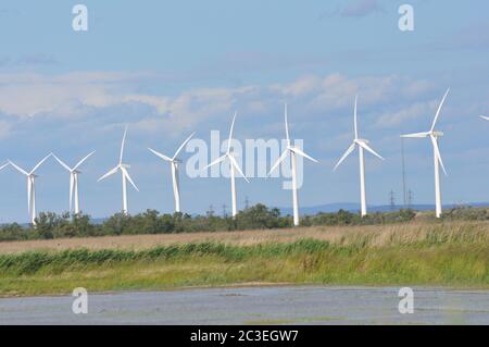 Paesaggio pieno di turbine eoliche nella Camargue, Francia Foto Stock