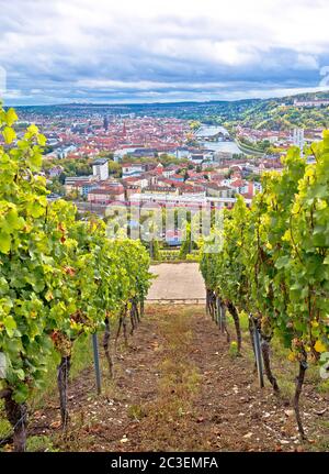 Città vecchia di Wurzburg vista dalla collina vigna Foto Stock