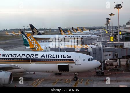 Singapore. Marzo 2019. Aeroporto Internazionale di Changi. Morsetto 2. Flotta di aerei all'aeroporto. Gli aerei si stanno preparando per la partenza. Foto Stock