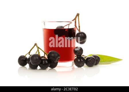 Vino di chokeberry nero fatto in casa o liquore con frutti di bosco maturi. Foto Stock