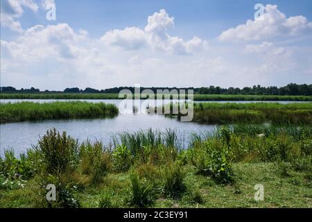 Bellissimo paesaggio con laghi, paludi e canne nel Parco Nazionale De Weerribben vicino a Giethoorn, Paesi Bassi Foto Stock