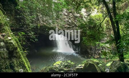 ponte naturale nel parco nazionale di springbrook, queensland Foto Stock