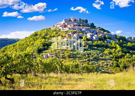 Città di Motovun sulla pittoresca collina dei vigneti Foto Stock