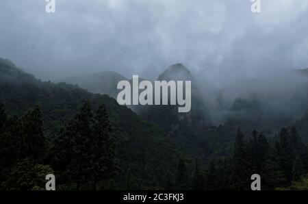 Guardando in su alle montagne boscose oscure avvolte in una nebbia spessa in una giornata di overcast Foto Stock