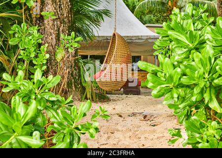 Spiaggia swing uovo sedia a Seychelles Foto Stock