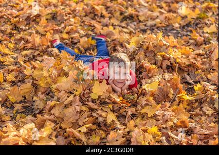 giovane ragazzo bello si trova sul fogliame autunno nel parco Foto Stock