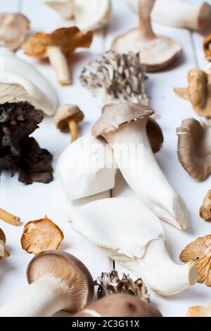 Varietà di funghi disposti su sfondo bianco Foto Stock