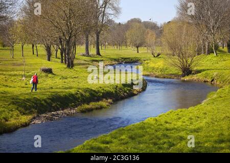 Il fiume Inde in primavera, Inden, Nord Reno-Westfalia, Germania, Europa Foto Stock