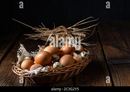 Uova fresche direttamente dalla fattoria in un cestino Foto Stock
