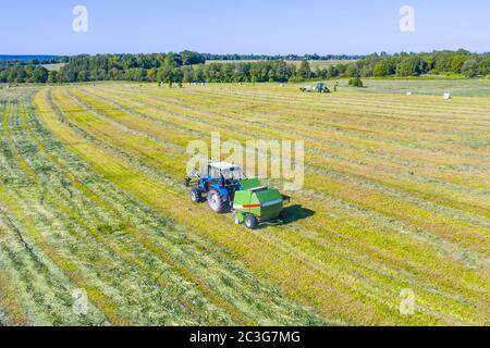 Un trattore agricolo raccoglie l'erba falciata per uso agricolo e avvolge le balle di fieno in un campo di plastica, vista aerea Foto Stock