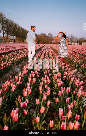 Campo di fiori di tulipano durante tramonto crepuscolo nei Paesi Bassi Noordoostpolder Europa, felice giovane coppia uomini e donna con vestito pos Foto Stock