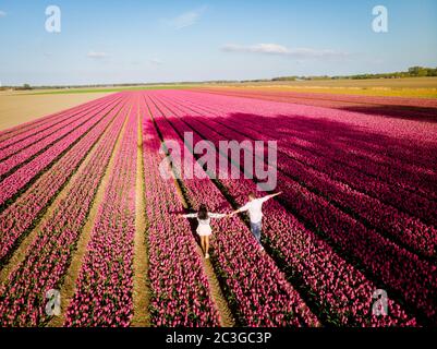 Campi di tulipano nei Paesi Bassi, coppia uomini e donne in campo di fiori durante la primavera nei Paesi Bassi Foto Stock