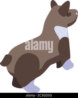 Icona marrone del cane dei corgi, stile isometrico Illustrazione Vettoriale