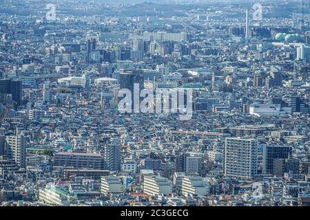 Skyline di Tokyo visto dall'osservatorio Ebisu Garden Place Foto Stock