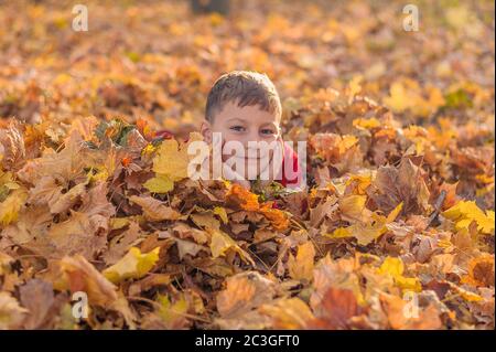 piccolo ragazzo si nascose nel verde autunno caduto giallo nel parco Foto Stock