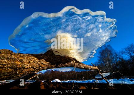 Scena invernale della provincia di Heilongjiang Foto Stock