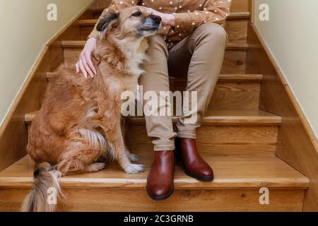 La donna e il suo cane carino sono seduti insieme sulle scale. Relax Foto Stock