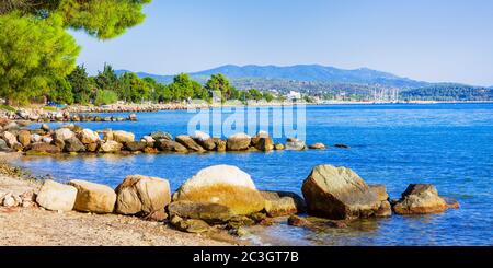 Pineta albero dal mare a Halkidiki, Grecia Foto Stock