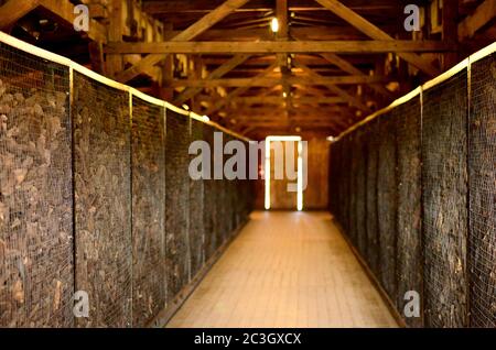 Grandi gabbie con scarpe vittime nel campo tedesco di concentramento e sterminio Majdanek. Lublino, Polonia Foto Stock