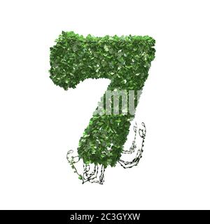 Numero 7 creato di foglie di edera verde - isolate su sfondo bianco - illustrazione 3D Foto Stock