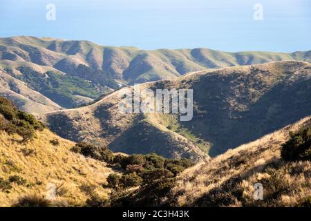 Colline erose su terreni agricoli marginali vicino al Parco Regionale di Battle Hill, vicino a Pauatahanui, Porirua, Wellington, Isola del Nord, Nuova Zelanda Foto Stock