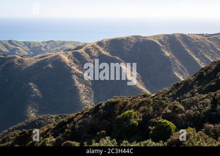 Colline erose su terreni agricoli marginali vicino al Parco Regionale di Battle Hill, vicino a Pauatahanui, Porirua, Wellington, Isola del Nord, Nuova Zelanda Foto Stock