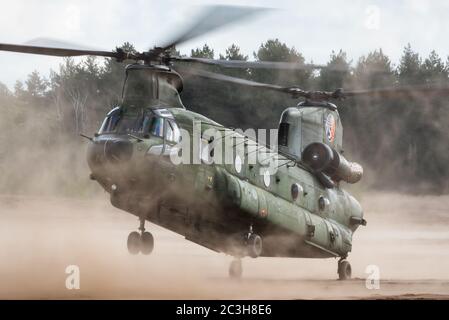 Un elicottero Boeing CH-47 Chinook della Royal Netherlands Air Force è pronto per atterrare al GLV-5. Foto Stock
