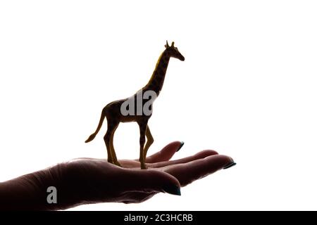 Mani della donna con una rara figura animale in pericolo - silhouette scura isolata, concetto di protezione degli animali dall'estinzione Foto Stock