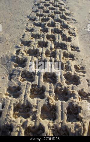 Impronta nella sabbia da un pneumatico di auto o ciclo quadro all'alba su uno sfondo di cielo blu e mare, orizzonte spiaggia alba Foto Stock