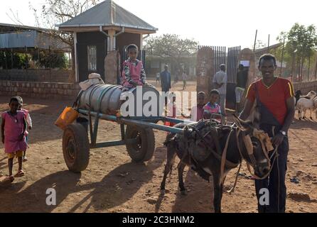 ETIOPIA, Tigray, Shire, campo profughi eritrei maggio-Ayni gestito da ARRA e UNHCR / AETHIOPIEN, Tigray, Shire, Fluechtlingslager May-Ayni fuer eritreische Fluechtlinge, Wassertransport mit Esel Foto Stock