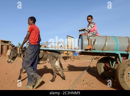 ETIOPIA, Tigray, Shire, campo profughi eritrei maggio-Ayni gestito da ARRA e UNHCR / AETHIOPIEN, Tigray, Shire, Fluechtlingslager May-Ayni fuer eritreische Fluechtlinge, Wassertransport mit Esel Foto Stock