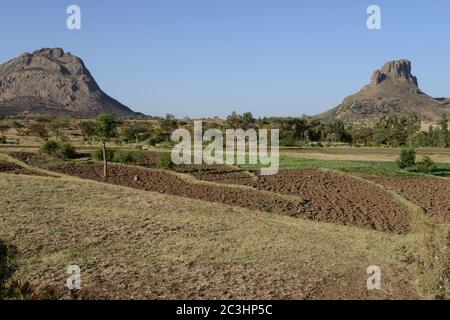 ETIOPIA, Tigray, altopiano, Adua, Battaglia di Adwa fu combattuta il 1° marzo 1896 tra l'Impero etiope e l'Italia, la battaglia fu persa dall'esercito italiano, campi e rocce / AETHIOPIEN, Tigray, Hochland, Adwa, Adwa wurde durch die Schlacht von Adua 1896 bekannt, In der aethiopische Truppen unter Kaiser Menelik II. Eine italienische Armee unter Oreste Baratieri in die Flucht schlugen. Durch diesen Sieg wurde der Vertali Italiens verhindert, Aethiopien als Kolonie zu beherrschen Foto Stock