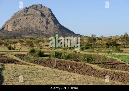 ETIOPIA, Tigray, altopiano, Adua, Battaglia di Adwa fu combattuta il 1° marzo 1896 tra l'Impero etiope e l'Italia, la battaglia fu persa dall'esercito italiano, campi e rocce / AETHIOPIEN, Tigray, Hochland, Adwa, Adwa wurde durch die Schlacht von Adua 1896 bekannt, In der aethiopische Truppen unter Kaiser Menelik II. Eine italienische Armee unter Oreste Baratieri in die Flucht schlugen. Durch diesen Sieg wurde der Vertali Italiens verhindert, Aethiopien als Kolonie zu beherrschen Foto Stock