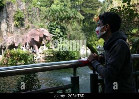 I visitatori indossano maschere che guardano i pellicani mentre sono in vacanza al Ragunan Wildlife Park, Giacarta, sabato 20 giugno 2020. Il Ragunan Wildlife Park è stato riaperto per i visitatori nella terza settimana della fase di apertura della prima fase della transizione alle nuove restrizioni normali o sociali su larga scala (PSBB). Ma il Ragunan Wildlife Park limita il numero di visitatori a 1000 persone al giorno, con l'attuazione di rigorosi protocolli di salute. Come richiesto dalla registrazione online, i bambini sotto i 9 anni, le donne incinte e gli anziani sopra i 60 anni non sono autorizzati ad entrare, i visitatori sono anche tenuti a utilizzare un Foto Stock