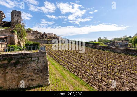 Saint-Émilion, dipartimento della Gironda, Nouvelle-Aquitaine, Francia. Foto Stock