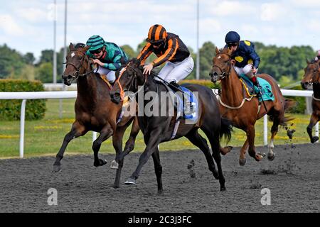 Ghaaliya guidato da Thomas Greatrex vince gli Stake di Novizio dei British Stallion Tacchs EBF Fillies all'ippodromo di Kempton Park. Foto Stock