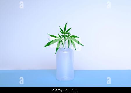 Foglia di marijuana, vaso di plastica con cannabis su sfondo bianco Foto Stock