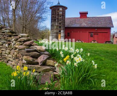 Vermont fattoria scena con un muro di pietra uno storico restaurato silo rotondo e granaio rosso in primavera Foto Stock