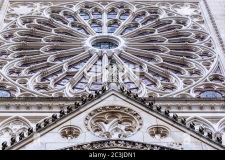 Cattedrale di San Pietro, Poitiers, Nouvelle-Aquitaine, Francia Foto Stock