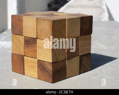 Marrone serpente di legno di Rubick in una giornata di sole Foto Stock