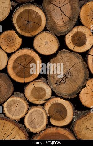 Pila di legno, pila di legno, Italia Foto Stock