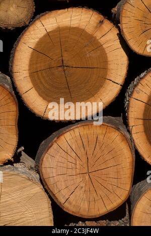 Pila di legno, pila di legno, Italia Foto Stock